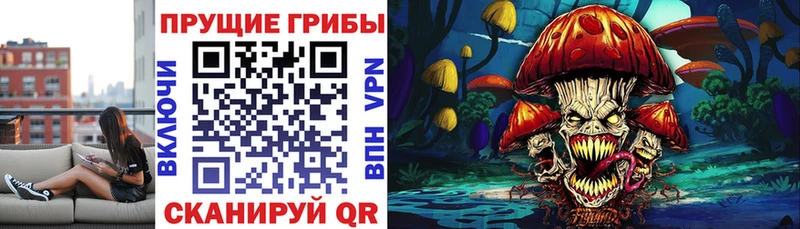 Галлюциногенные грибы Psilocybine cubensis  Купить закладки  Болхов 